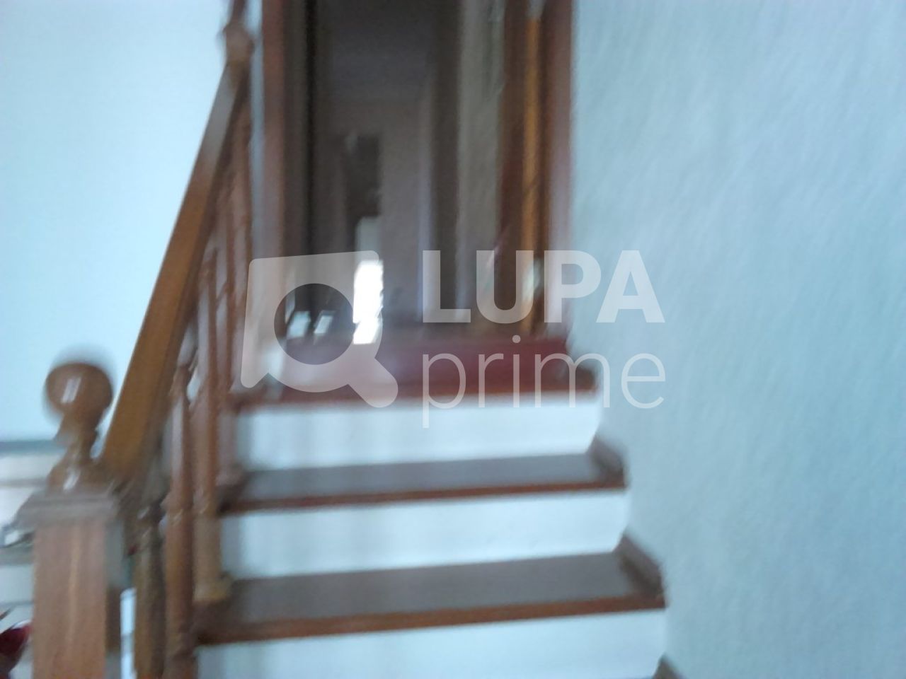 casa-terrea-venda-sao-paulo-tucuruvi-4dormitorios-2suites-3vagas-25m2-LS8960