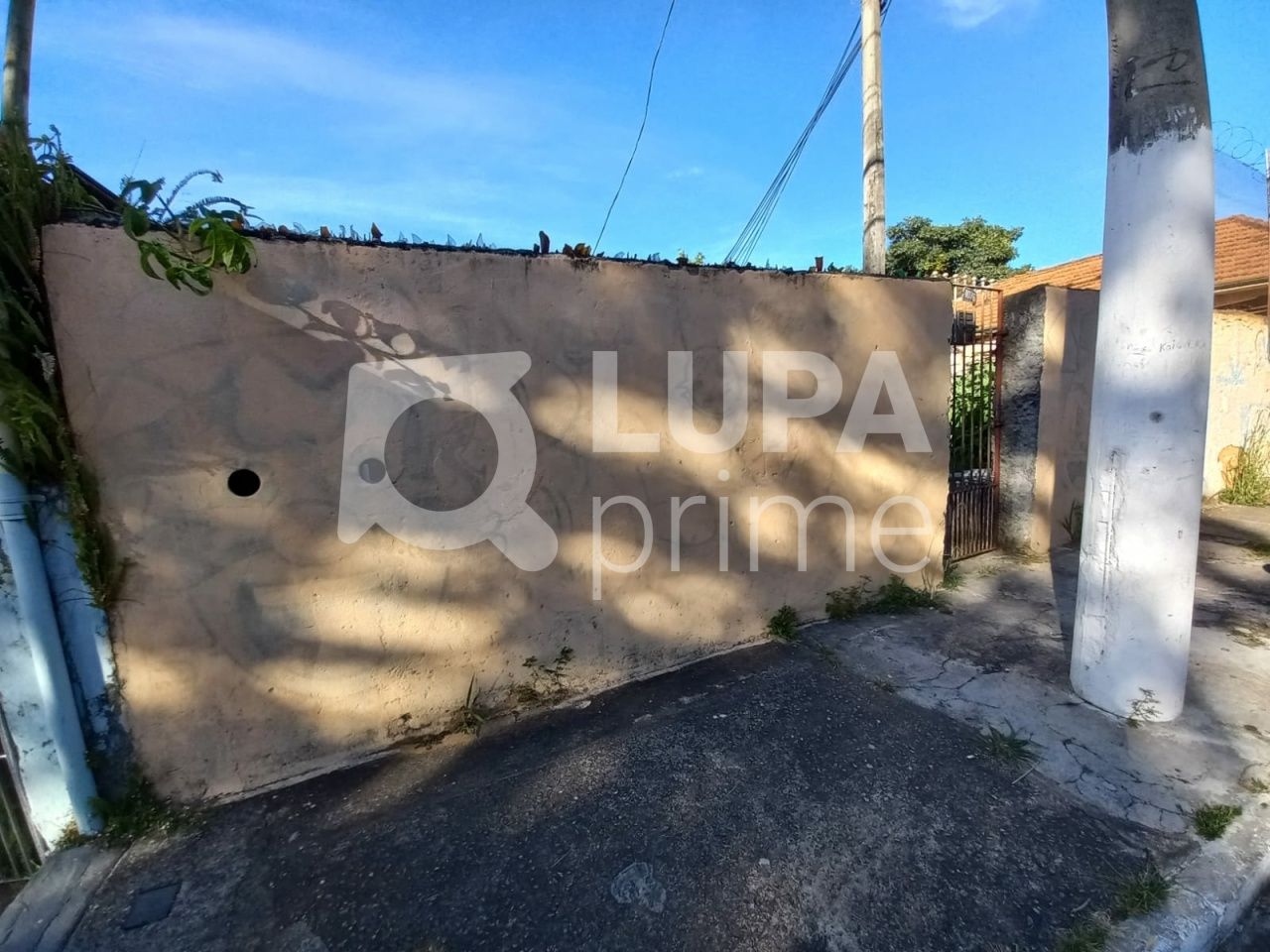 terreno-venda-sao-paulo-parada-inglesa-210m2-LS9271