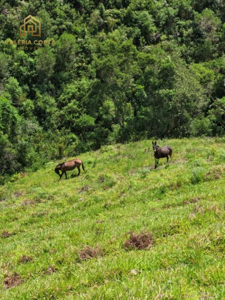 Terreno para Venda - ESTRADA CUNHA X PARATY