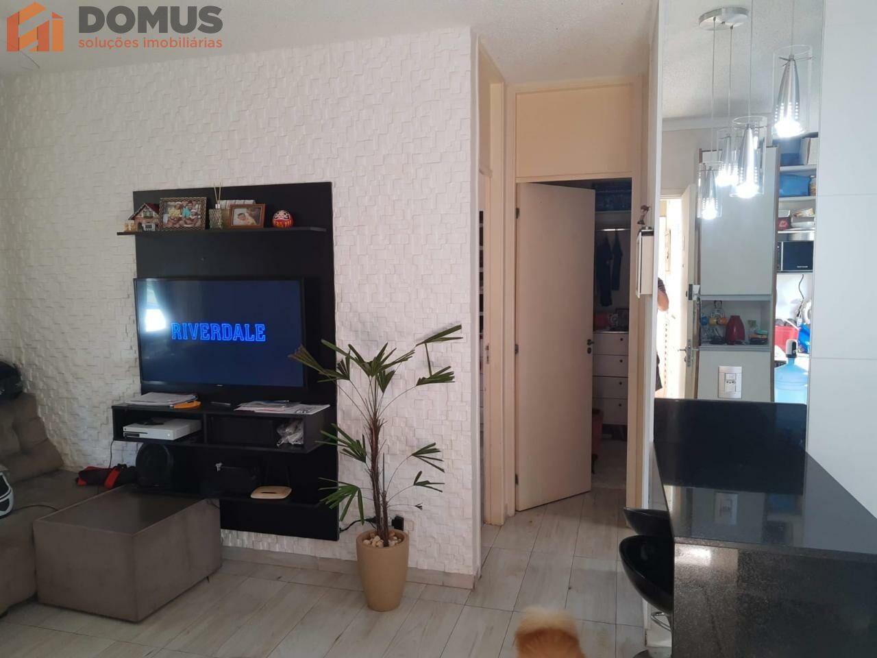 Apartamento para Venda - Parque Yolanda Nova Veneza