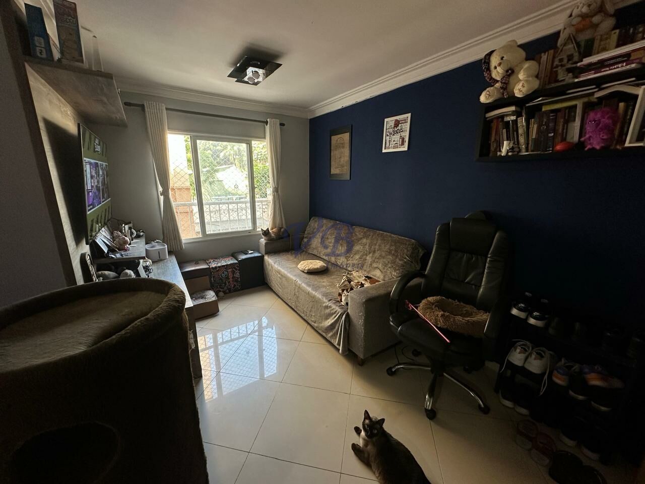 Apartamento para Venda - Parque Erasmo Assunção