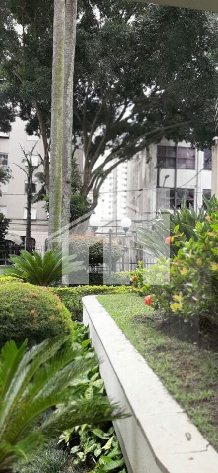 Apartamento para Venda - Nova Piraju