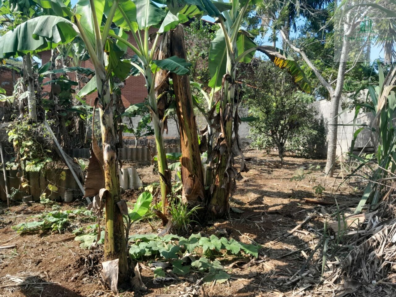 Terreno para Venda - Jardim Santa Helena