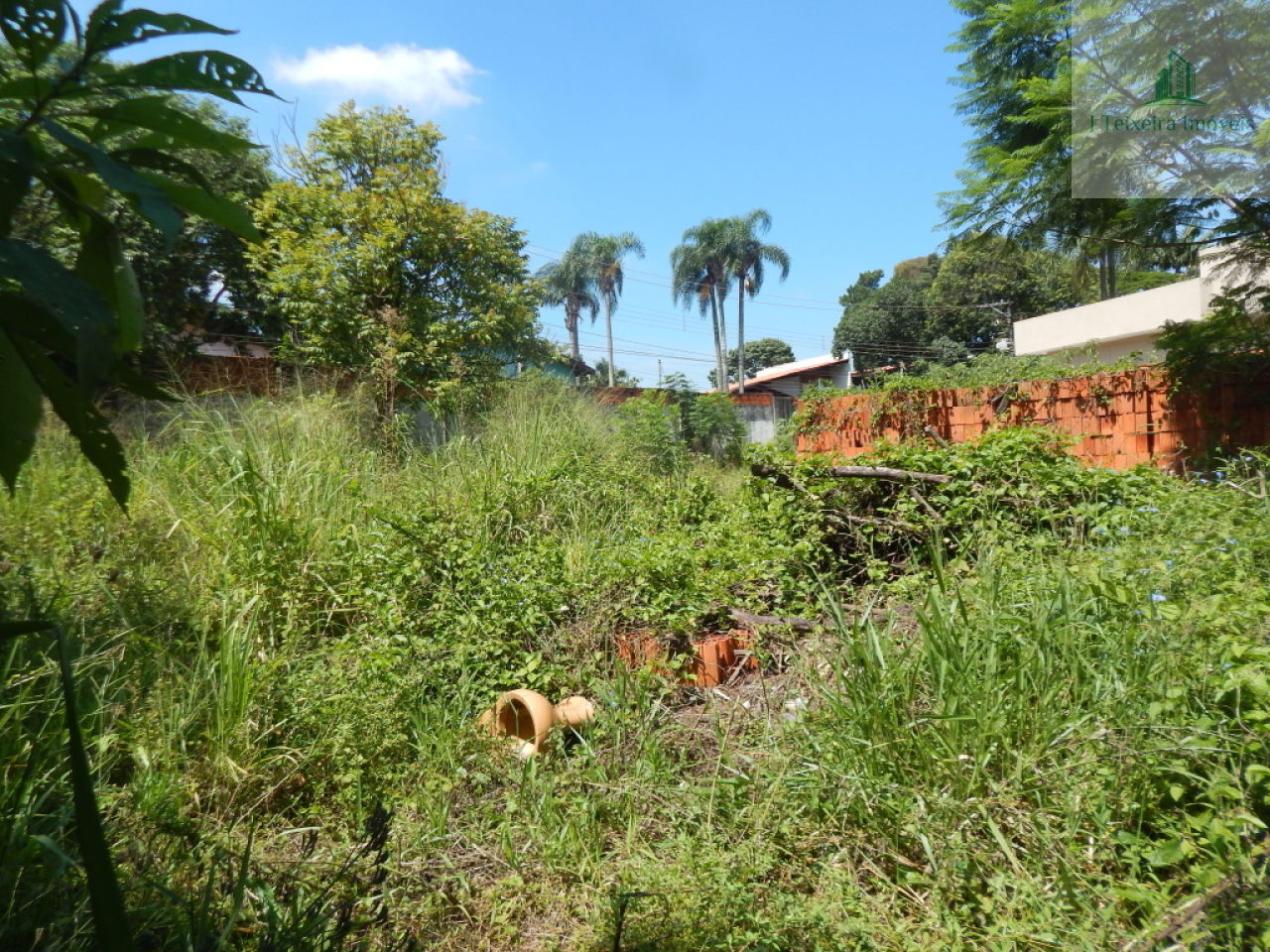 Terreno para Venda - Interlagos