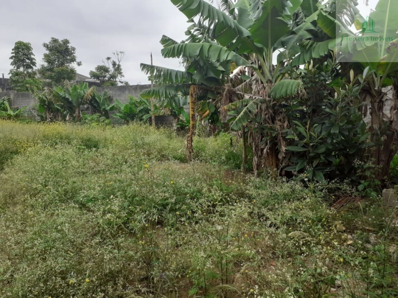 Terreno para Venda - Interlagos