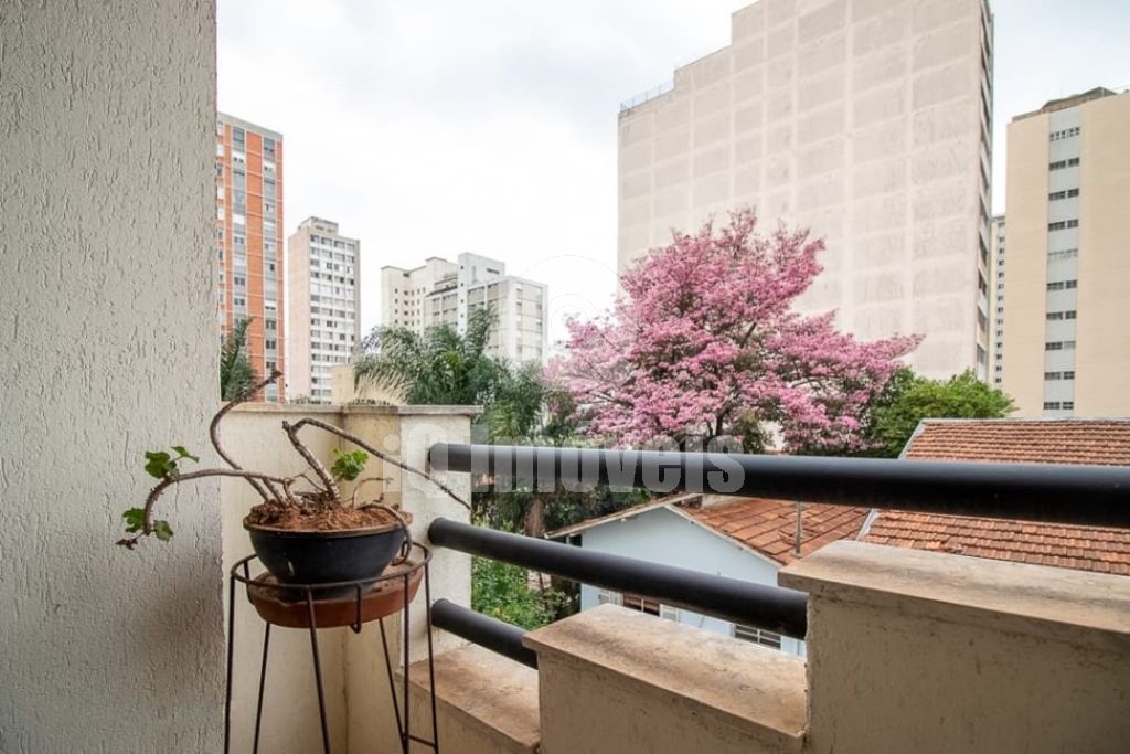 Próxima foto
