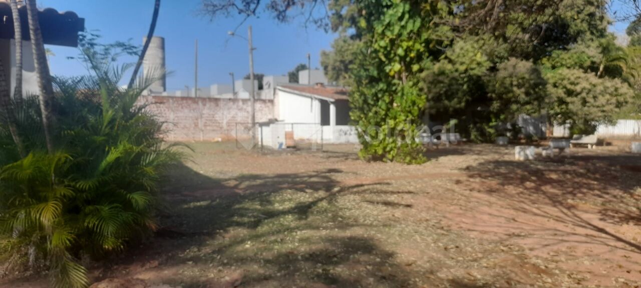 Chácara, 2 quartos, 7498 m² - Foto 11