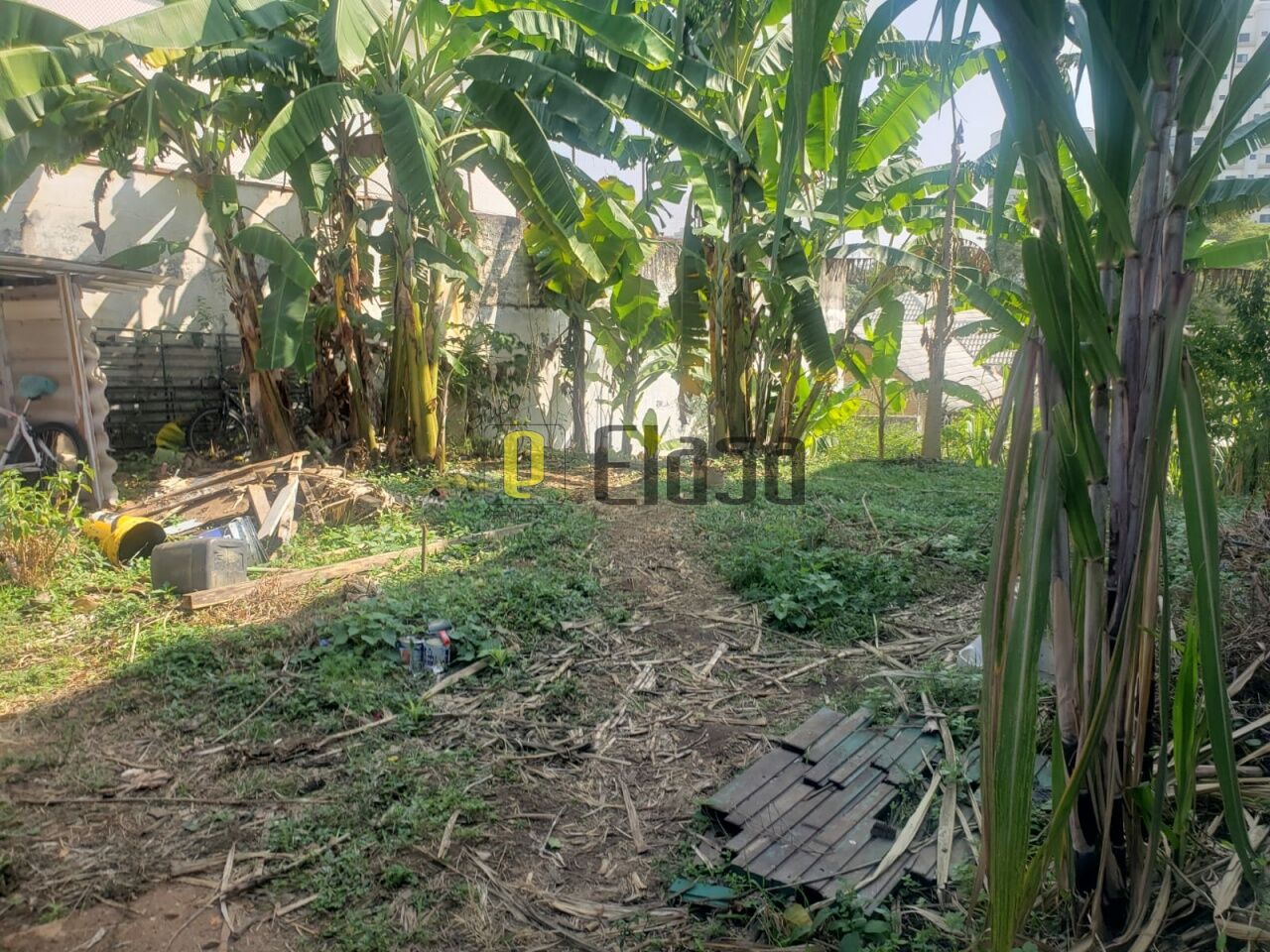 Terreno para Venda - Bosque da Saúde