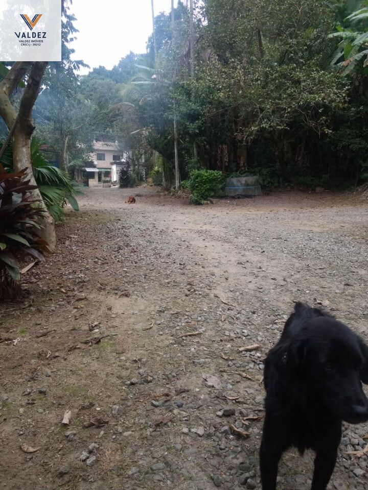 Terreno para Venda - Morro Nova Cintra