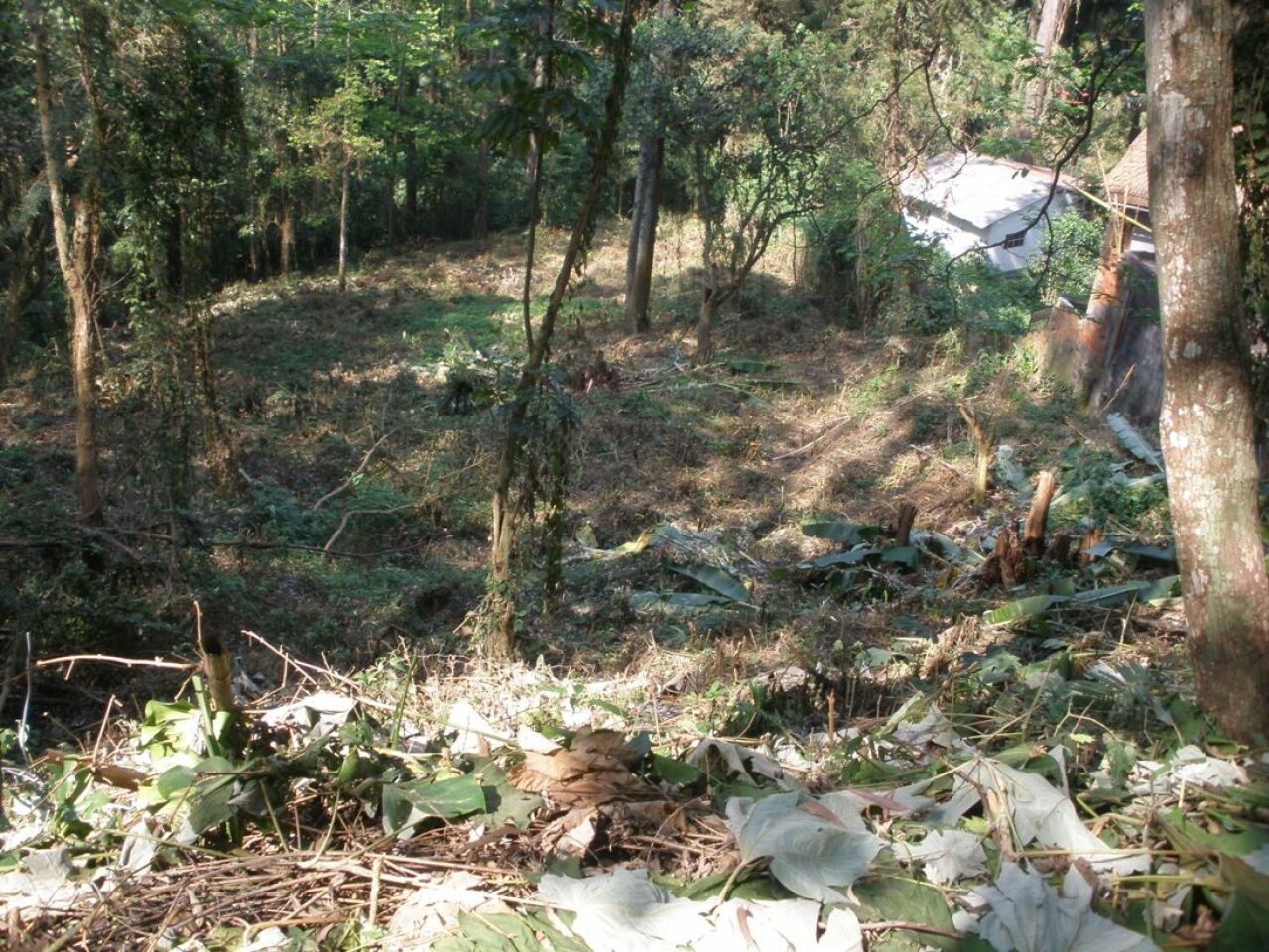 Terreno para Venda - Tucuruvi