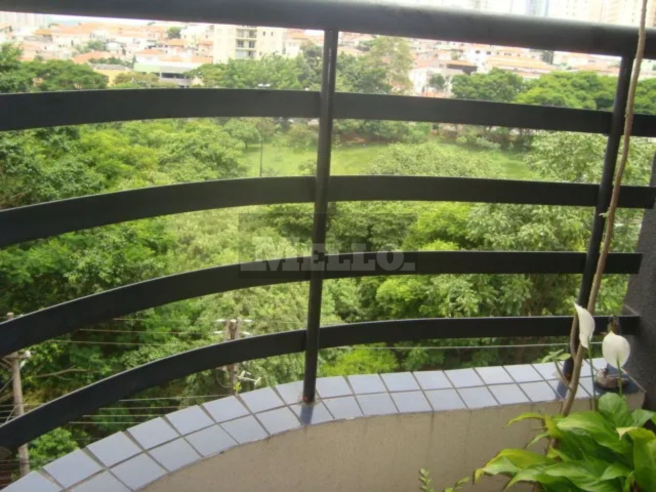 Apartamento para Venda - Vila Monte Alegre