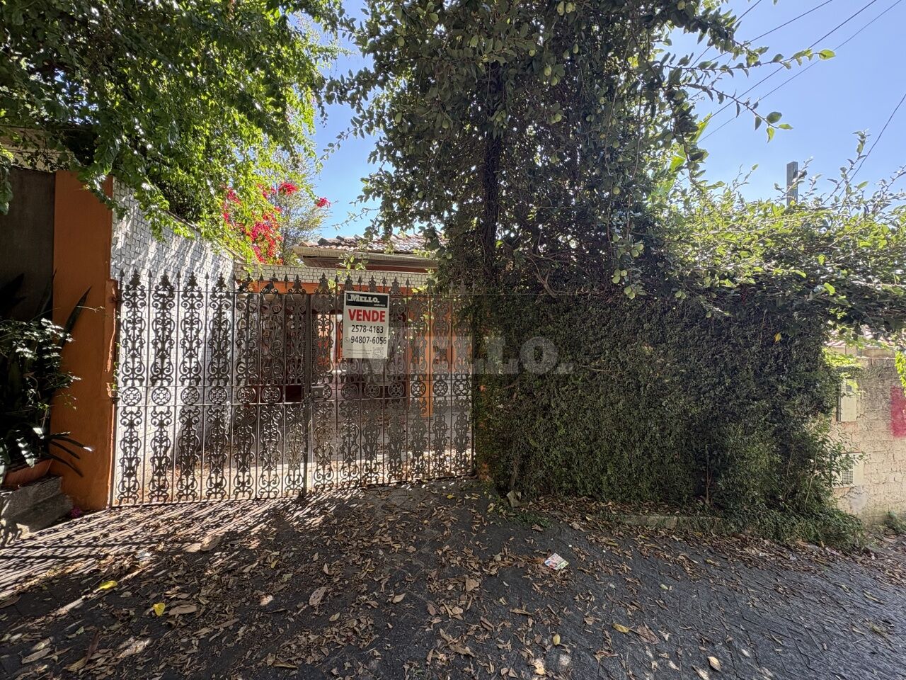 Casa Térrea para Venda - Planalto Paulista