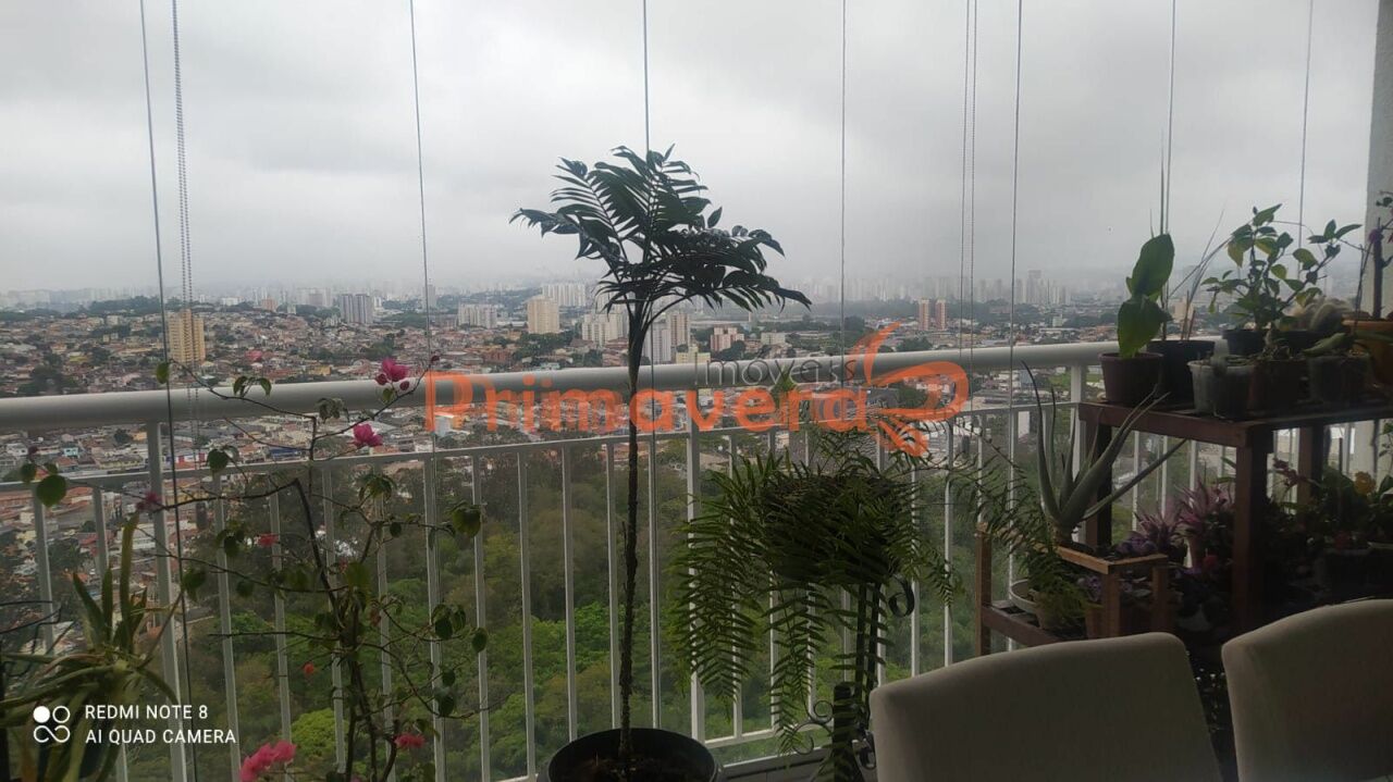 Apartamento para Venda - Pirituba