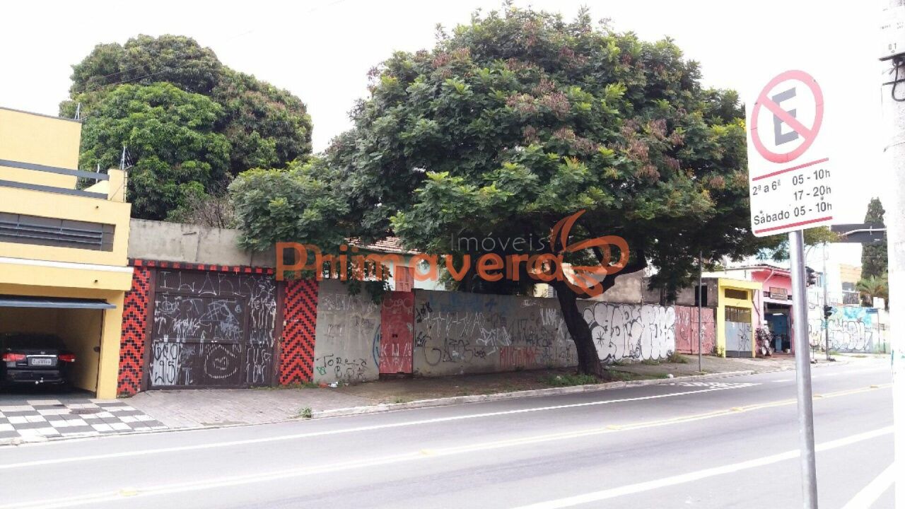 Terreno para Venda - Vila Souza