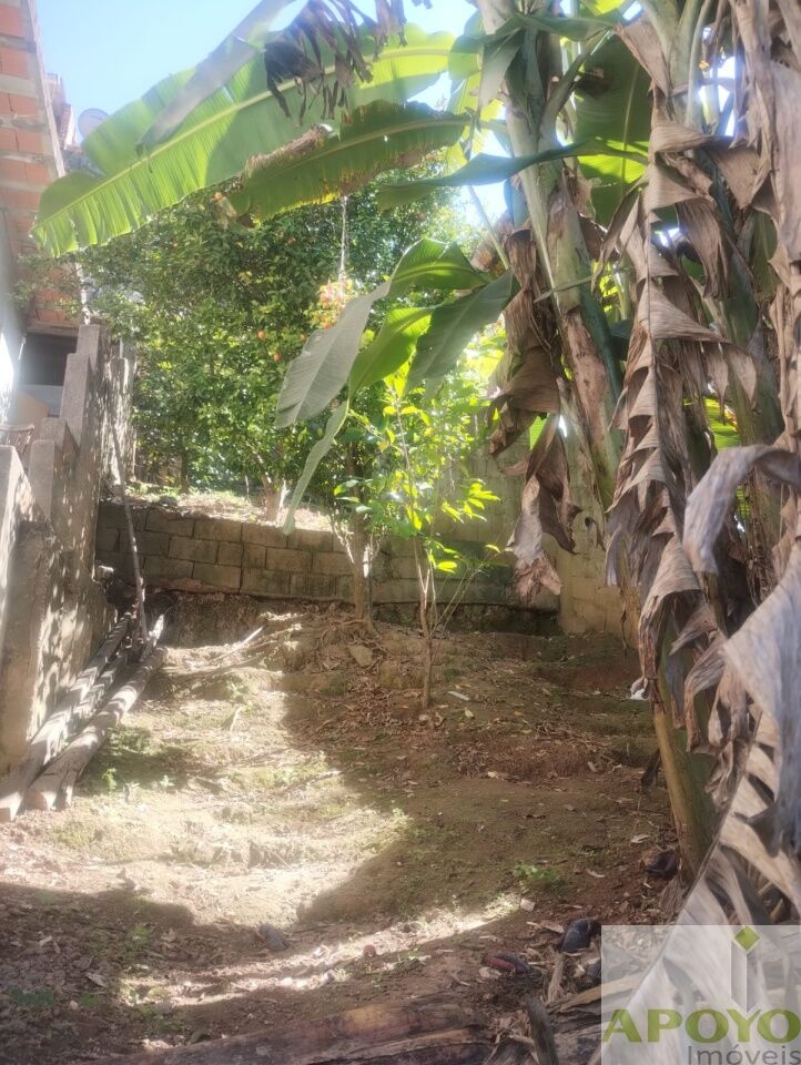Casa, 4 quartos, 240 m² - Foto 13
