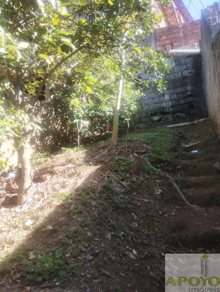 Casa, 4 quartos, 240 m² - Foto 14
