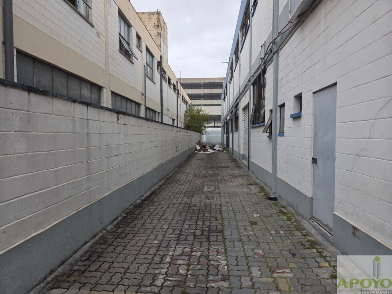 Depósito-Galpão, 2003 m² - Foto 4