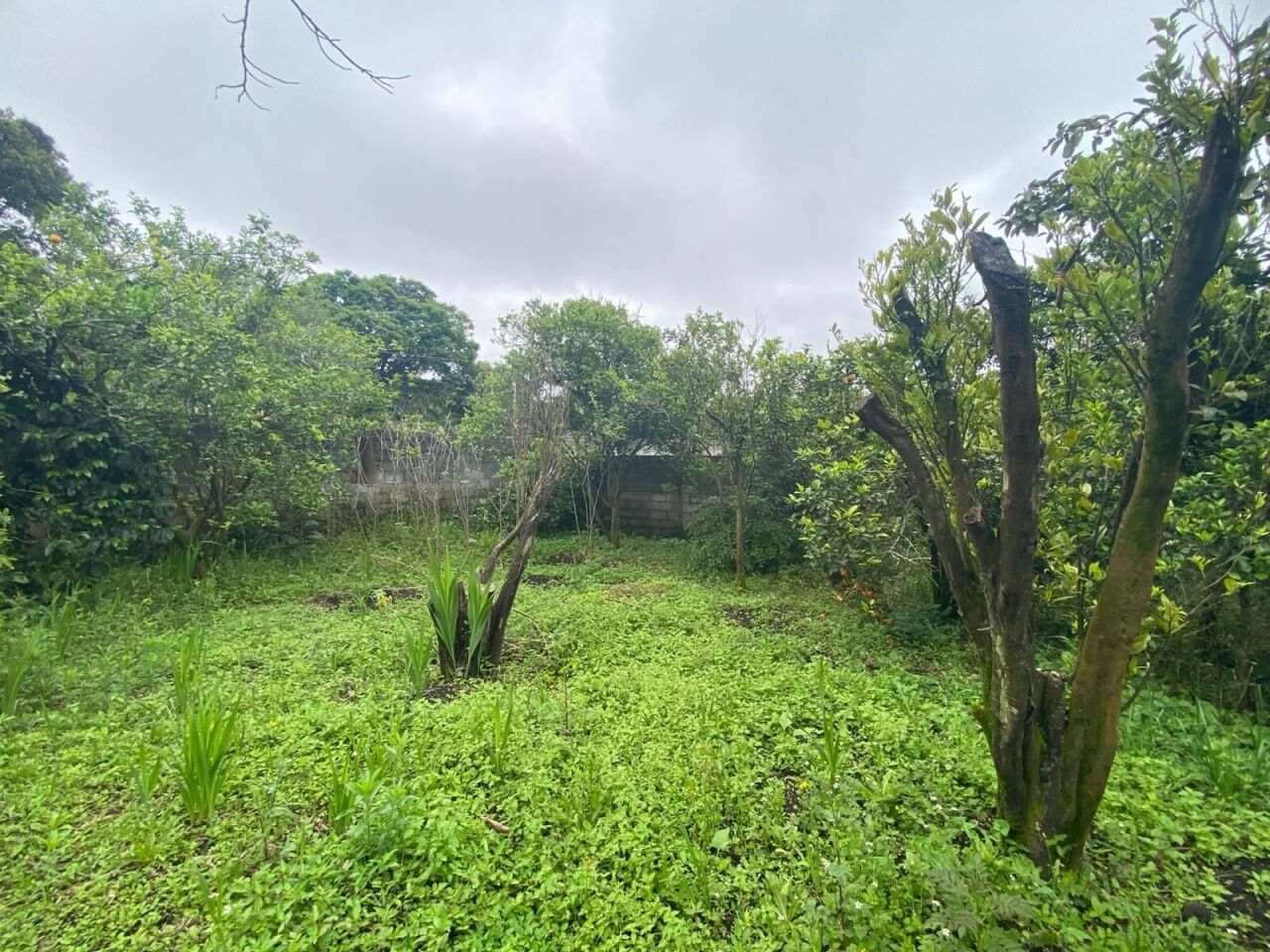 Chácara, 3 quartos, 1002 m² - Foto 13