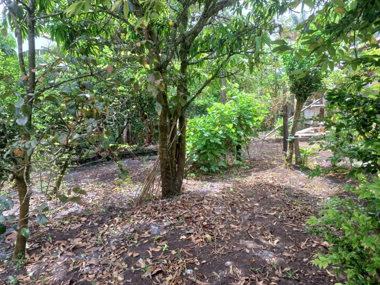 Chácara, 3 quartos, 1002 m² - Foto 19
