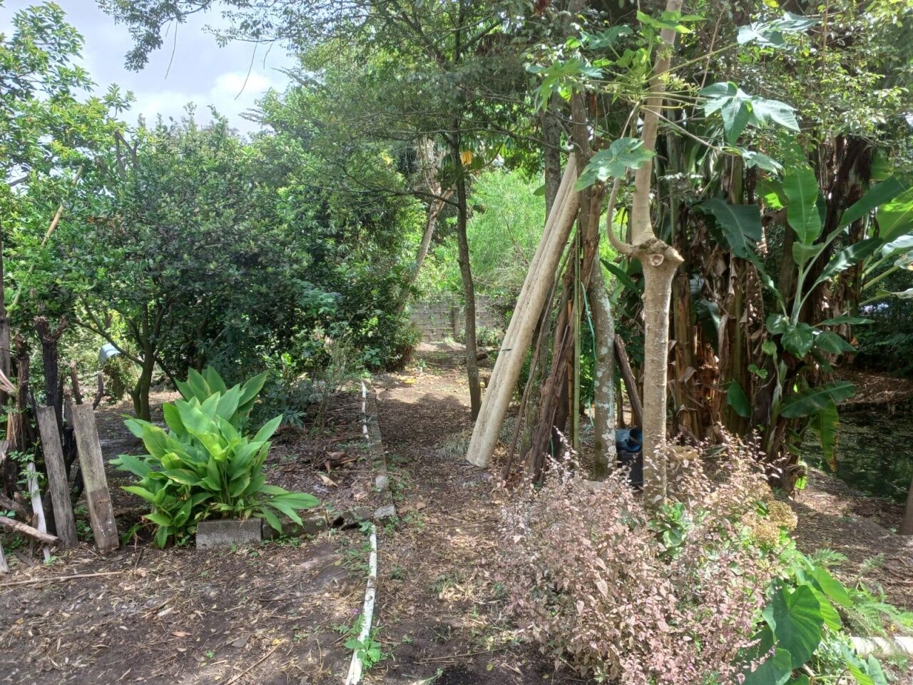 Chácara, 3 quartos, 1002 m² - Foto 27