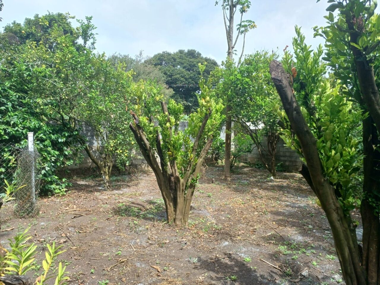 Chácara, 3 quartos, 1002 m² - Foto 20