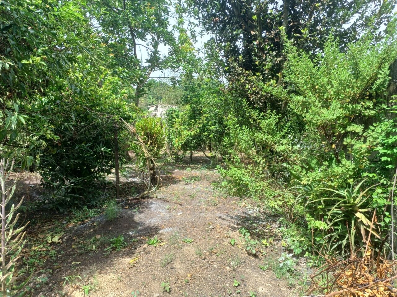 Chácara, 3 quartos, 1002 m² - Foto 22