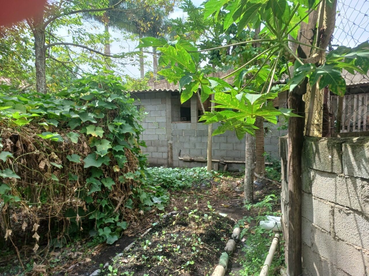 Chácara, 3 quartos, 1002 m² - Foto 25