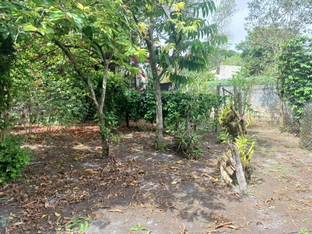 Chácara, 3 quartos, 1002 m² - Foto 24