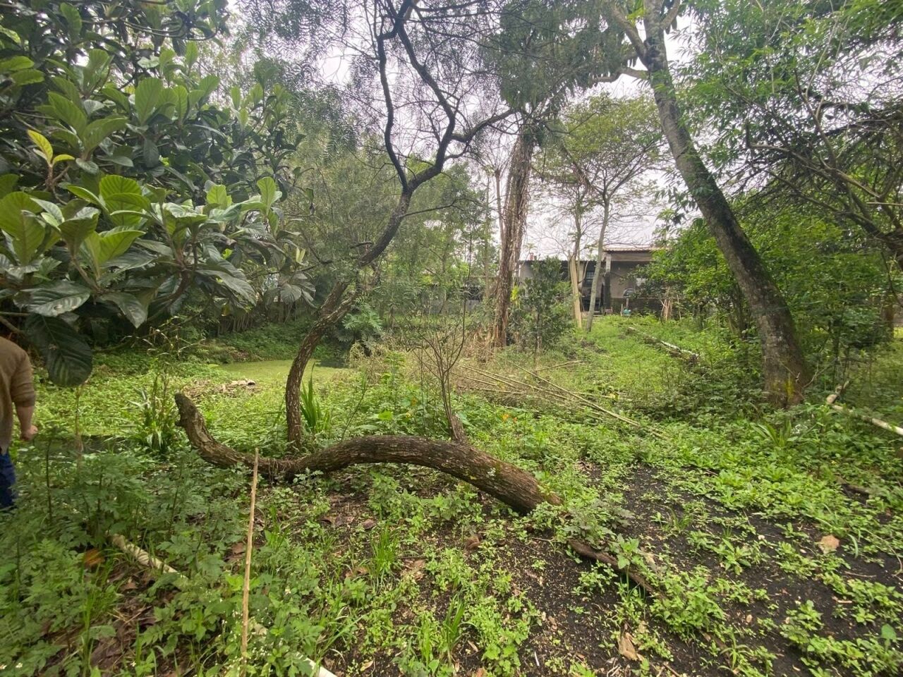 Chácara, 3 quartos, 1002 m² - Foto 18