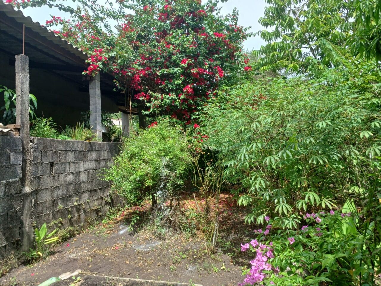 Chácara, 3 quartos, 1002 m² - Foto 21