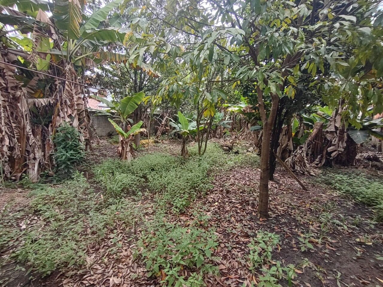 Terreno, 442 m² - Foto 14