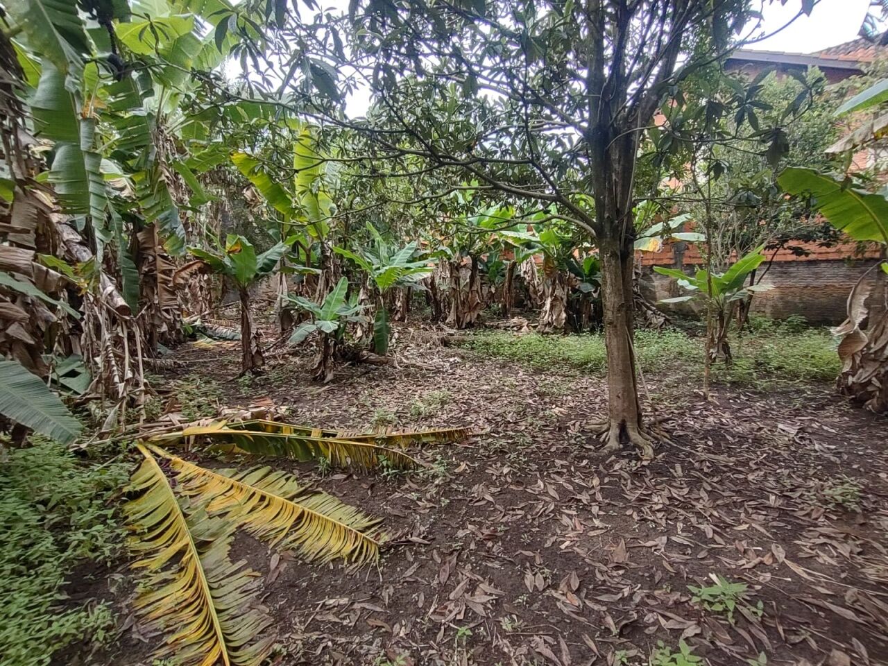 Terreno, 442 m² - Foto 7