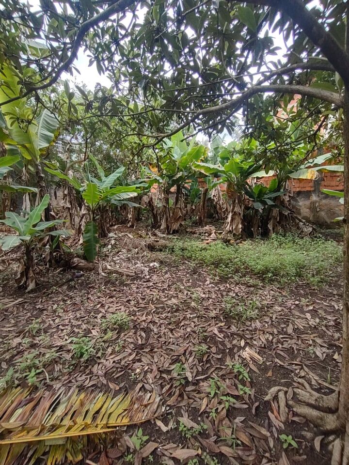 Terreno, 442 m² - Foto 11