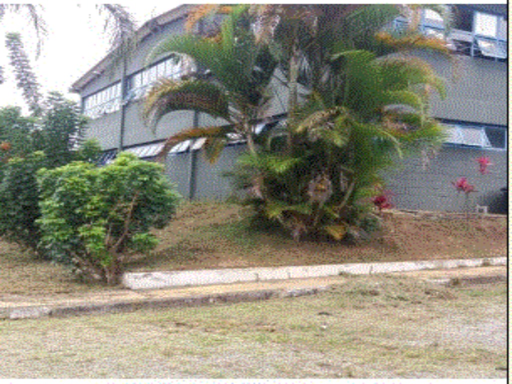 Galpao/Armazem para Venda - JARDIM LUANDA