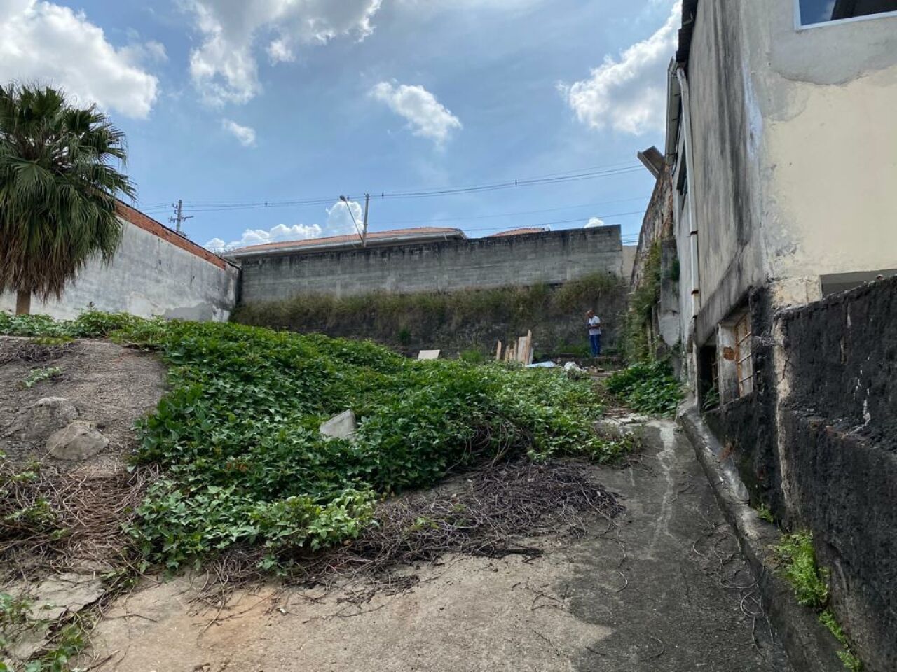 Terreno para Venda - Vila Mariana