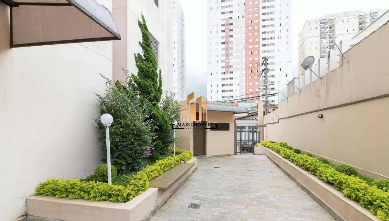 Apartamento para Venda - Vila Rosália