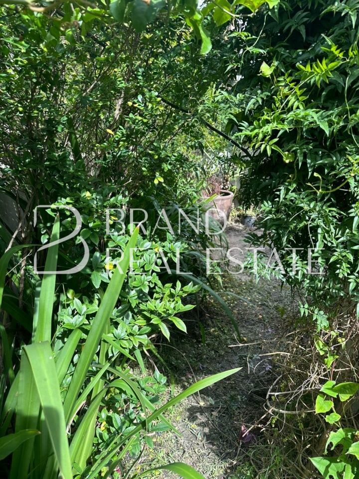 Foto 39 - BR12203
