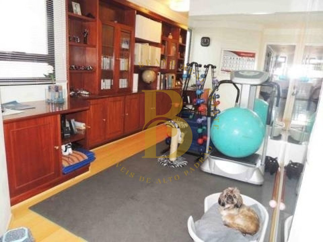Foto 13 - BR2311
