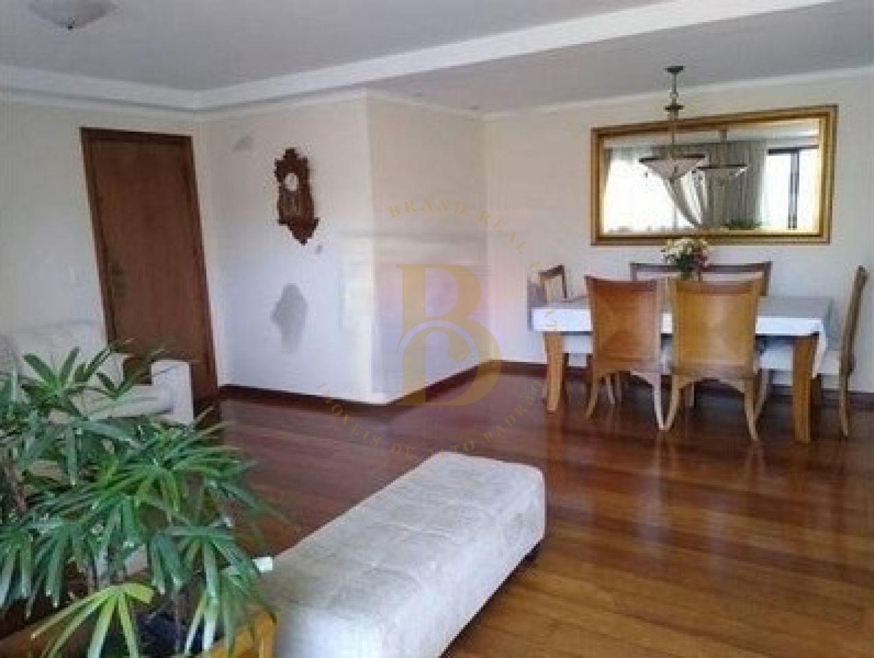 Foto 3 - BR2349
