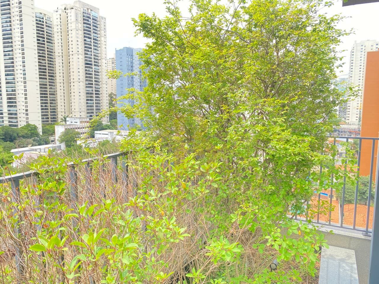 Foto 11 - BR439