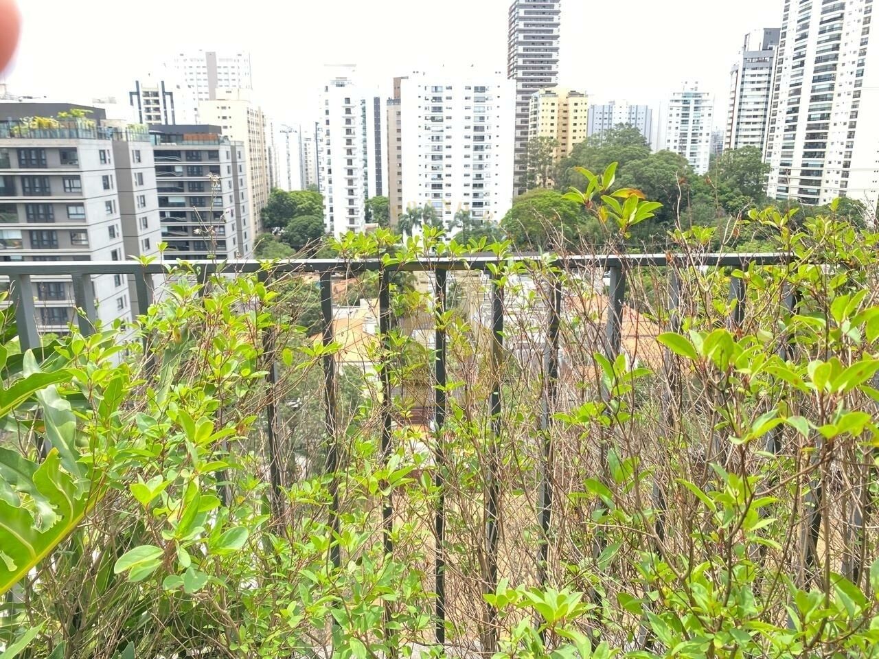Foto 10 - BR439