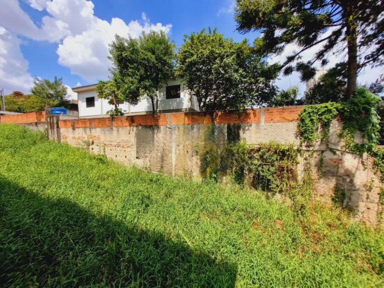 Foto 6 - BR6408