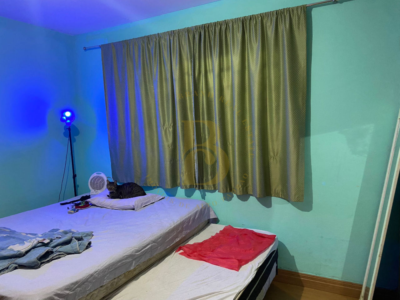 Foto 4 - BR8669