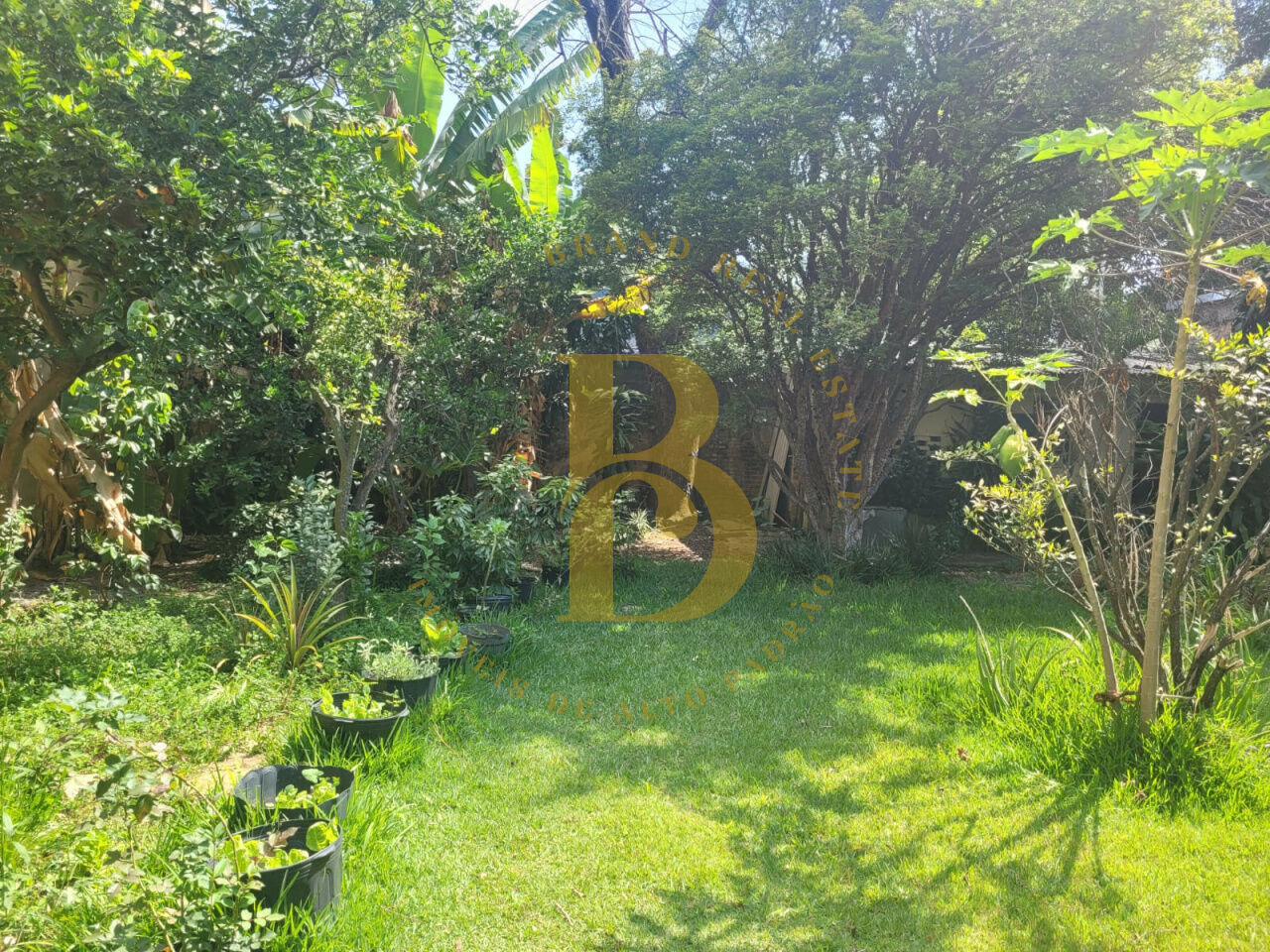 Foto 42 - BR9912