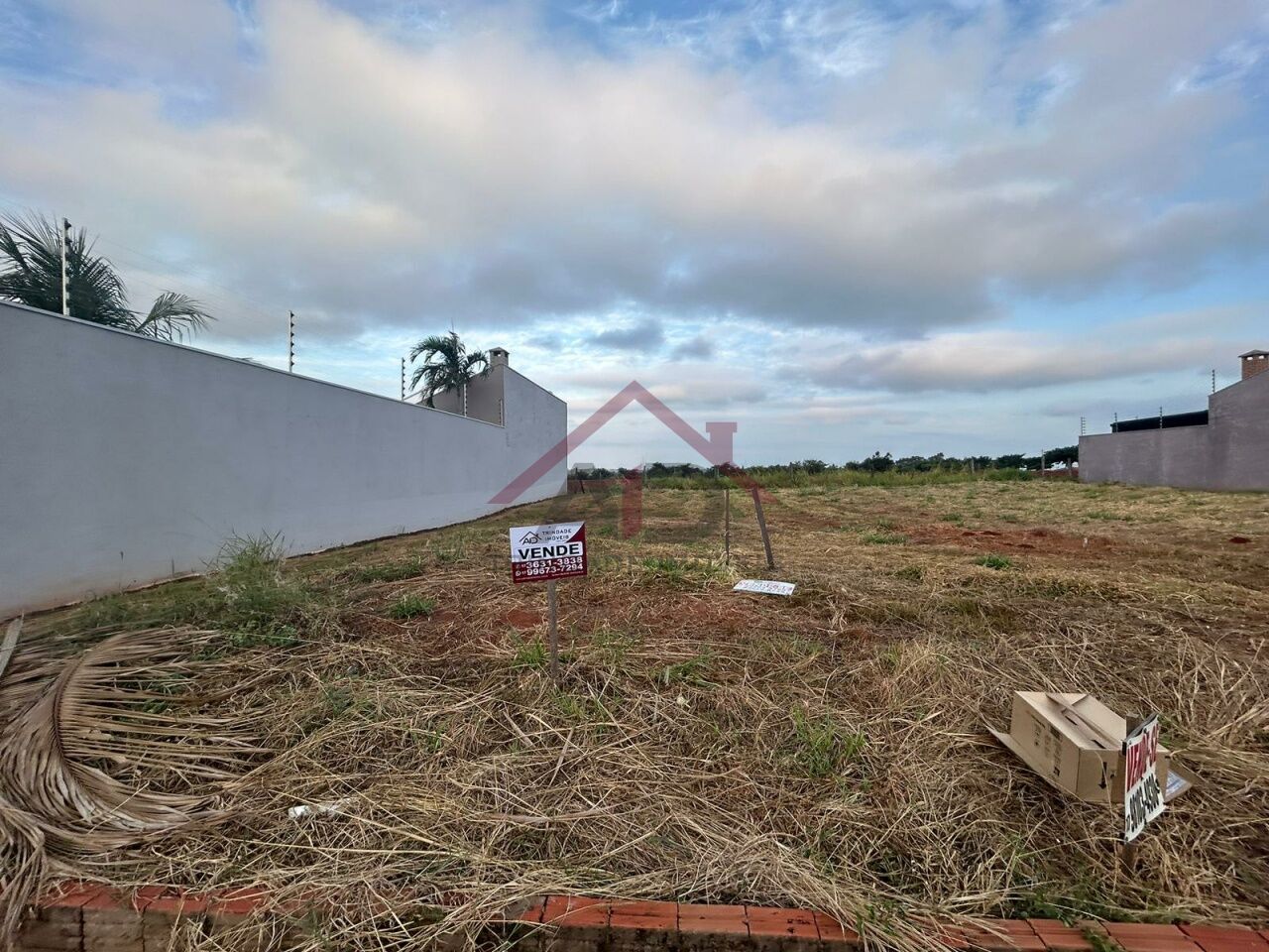 Terreno para Venda - Monte Carlo- Santa Fé do Sul