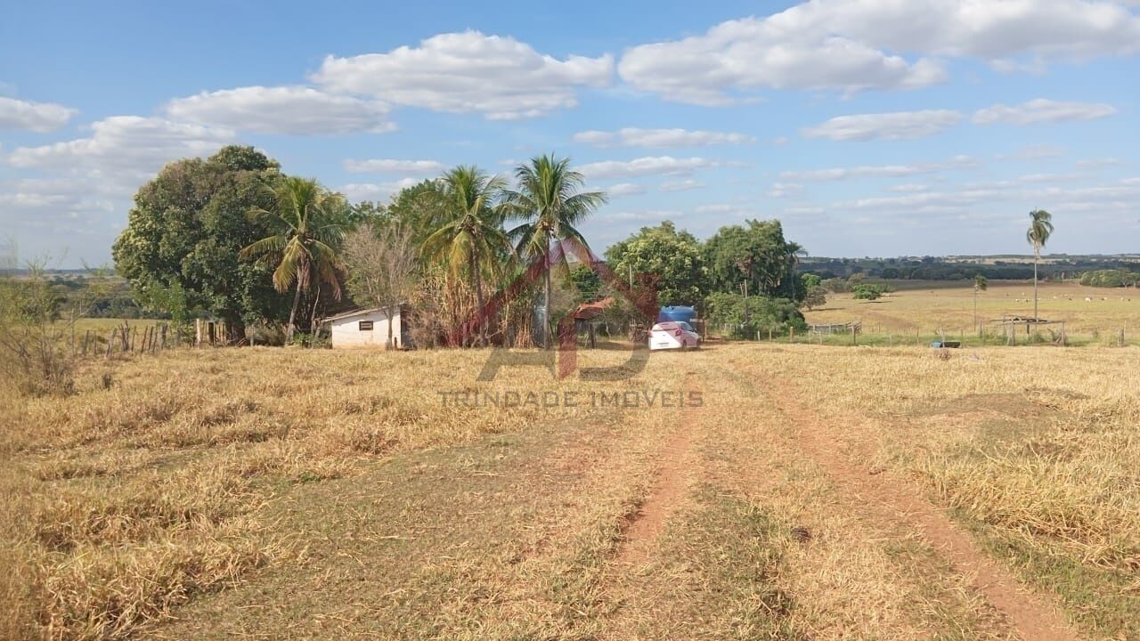 Sítio para Venda - ESTIVAS - SANTA FÉ DO SUL