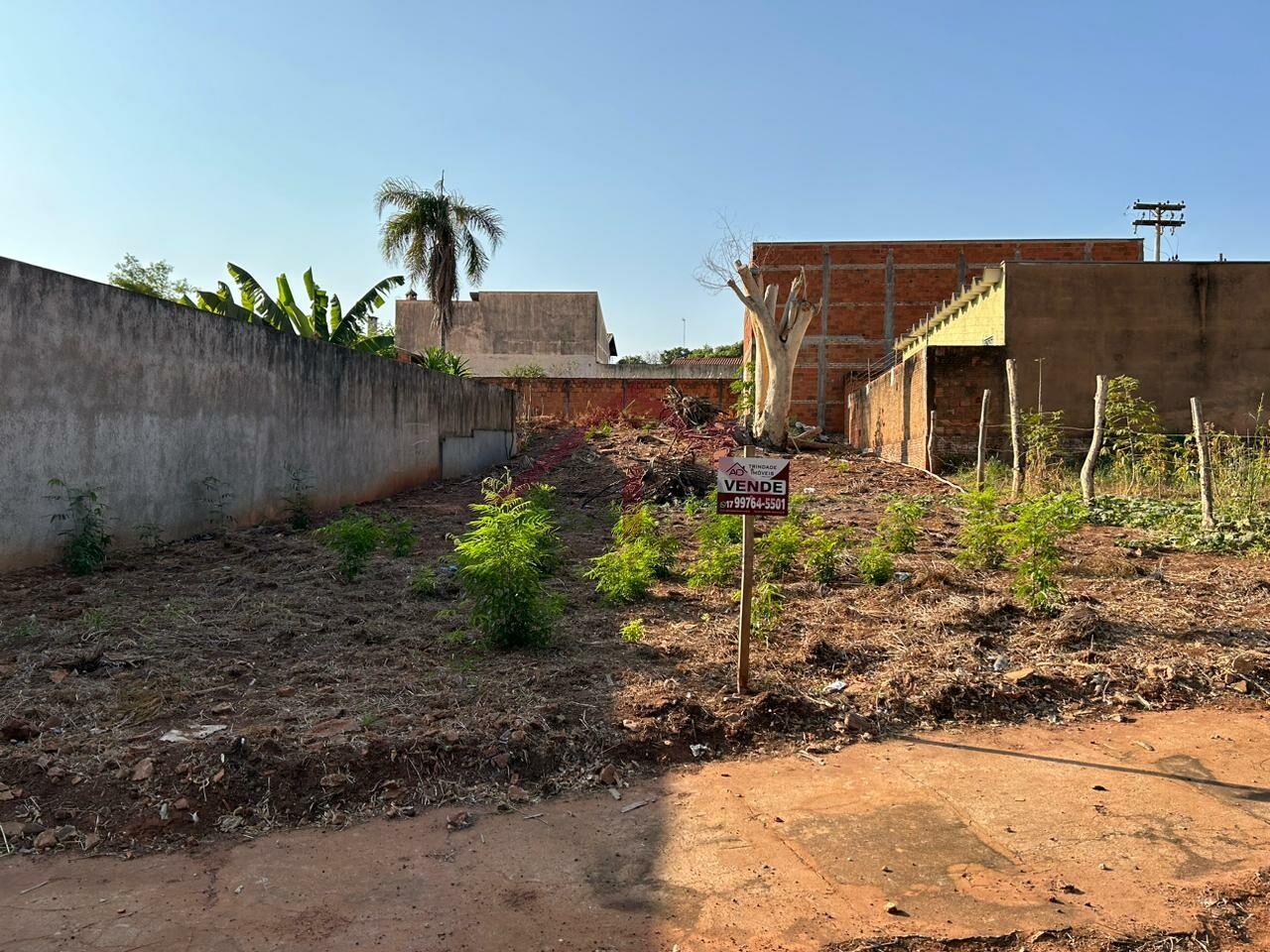 Terreno para Venda - Vila Guilherme - Santa Fé do Sul