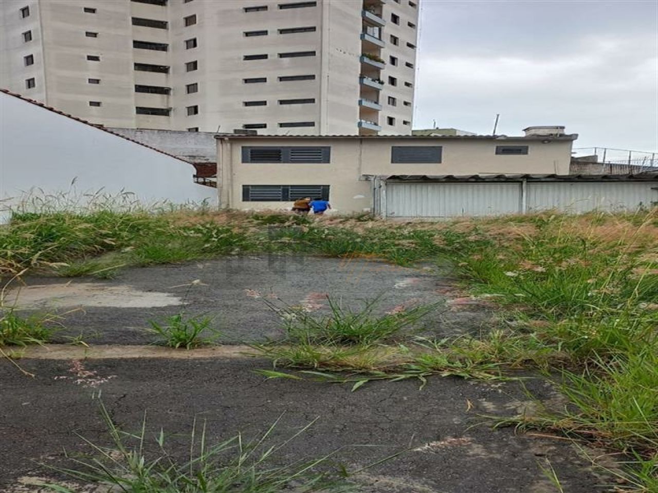 Terreno para Venda - Bosque da Saúde