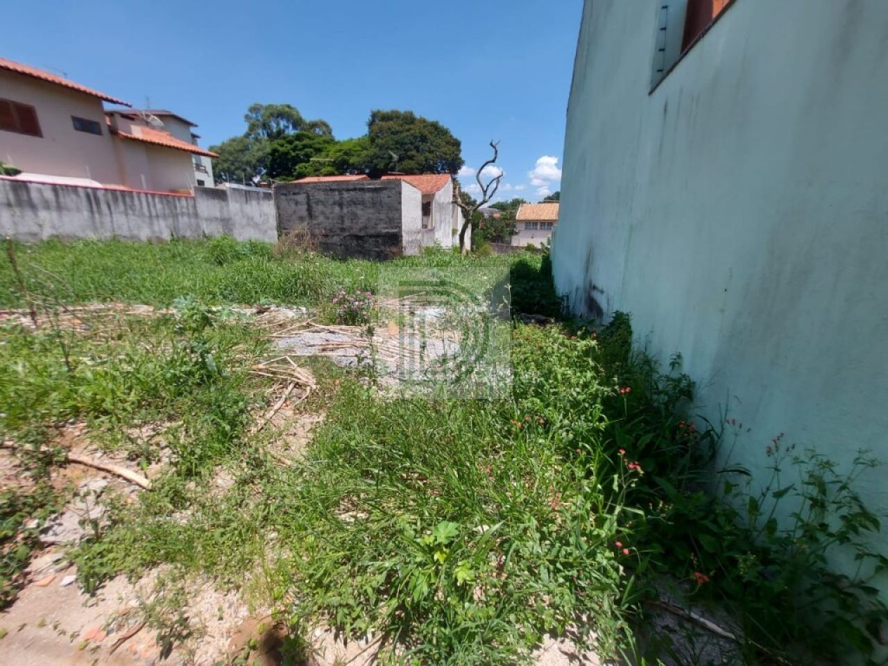 Foto Princiapl ref DI26500