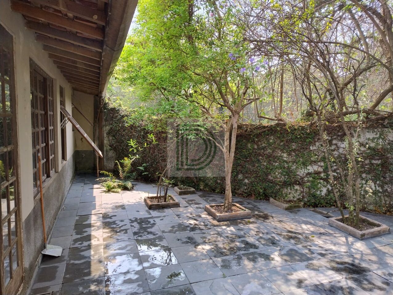 Foto Principal DI33234